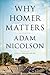 Why Homer Matters