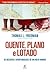 Quente, Plano e Lotado