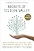 Secrets of Silicon Valley by Deborah Perry Piscione