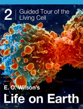 E.O. Wilson's Life on Earth Unit 2: Guided Tour of the Living Cell