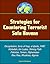 Strategies for Countering Terrorist Safe Havens: Decapitation, Sons of Iraq, al-Qaida, FARC, Hizbollah, bin Laden, Shining Path, Pakistan, Yemen, Afghanistan, Mau Mau, Rhodesia, Algeria