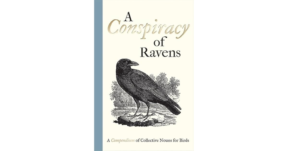 A Conspiracy of Ravens A Compendium of Collective Nouns for Birds by Bodleian Library