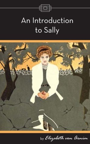 Introduction to Sally (Kindle Edition)