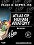 Atlas of Human Anatomy by Frank H. Netter Atlas of Human Anatomy by Frank H. Netter