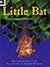 Little Bat by Tania Cox