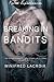 Katie Experiences: Breaking In Bandits