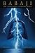 BABAJI: THE LIGHTNING STANDING STILL