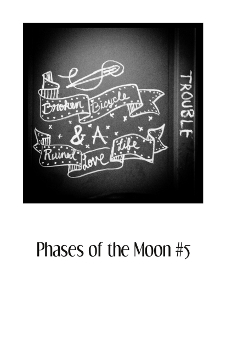 Broken Bicycle & a Ruined Love Life (Phases of the Moon, #5)