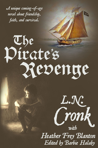 The Pirate's Revenge (Paperback)