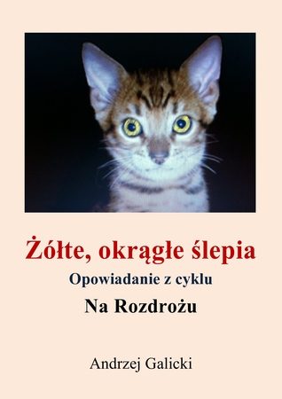 Żółte, okrągłe ślepia