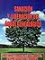 Sanación y Liberación del Árbol Genealógico (Spanish Edition)