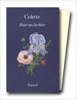 Pour un herbier (Paperback)
