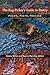 Rag-Picker's Guide to Poetry: Poems, Poets, Process