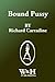 Bound Pussy by Richard Carradine