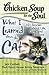 Chicken Soup for the Soul: What I Learned from the Cat: 101 Stories about Life, Love, and Lessons