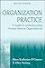 Organization Practice: A Guide to Understanding Human Service Organizations