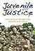 Juvenile Justice by John A. Winterdyk