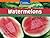 Windows on Literacy Step Up (Science: Plants Around Us): Watermelons (Language, Literacy, and Vocabulary - Windows on Literacy)