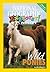 Wild Ponies