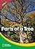 Parts of a Tree