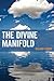 The Divine Manifold by Roland Faber