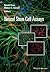 Neural Stem Cell Assays