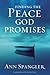 Finding the Peace God Promises: Spiritual Practices to Lead You into Sabbath Rest
