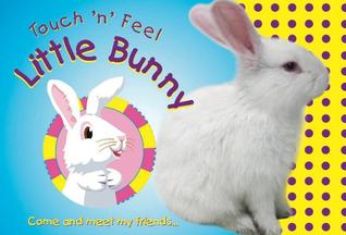Touch 'n' Feel Little Bunny: Come and meet my friends (Small Touch 'n' Feel Series)