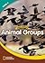 Animal Groups