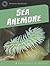 Sea Anemone (21st Century Skills Library: Exploring Our Oceans)