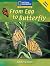From Egg to Butterfly