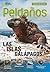 Las islas Galapagos Islands