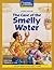 The Case of the Smelly Water