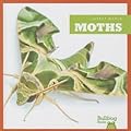 Moths