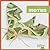 Moths (Insect World)