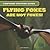 Flying Foxes Are Not Foxes! (Confusing Creature Names, 4)