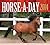 Horse-A-Day 2014