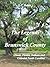 The Legends of Brunswick County