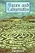 Mazes and Labyrinths