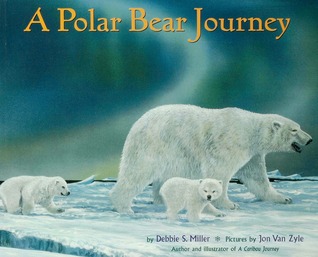 A Polar Bear Journey (Paperback)