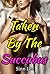 Taken By The Succubus