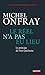 Le Réel n'a pas eu lieu: Le principe de Don Quichotte