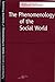 Phenomenology of the Social World (Studies in Phenomenology and Existential Philosophy)