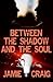 Between the Shadow and the Soul