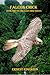 Falcon Chick by Ernest Edwards