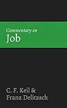 Commentary on Job