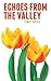 Echoes from the Valley