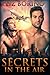 Secrets in the Air (Secrets, #1)