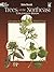 Trees of the Northeast Coloring Book (Dover Nature Coloring Book)