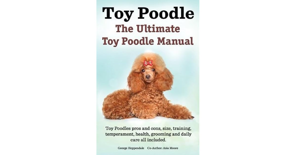 toy poodle training
